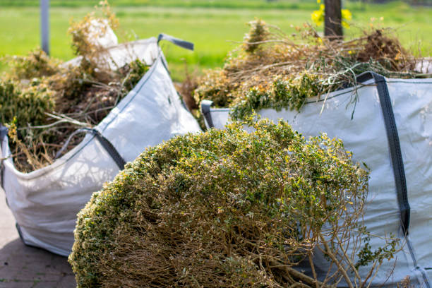 Best Professional Junk Removal  in Webster City, IA